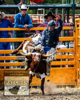 QueanbeyanRodeo_1868