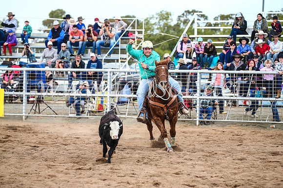 CoonambleRodeoCampdraftSun_3040
