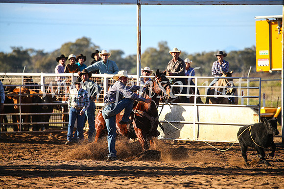 CoonambleRodeoCampdraftSun_1783
