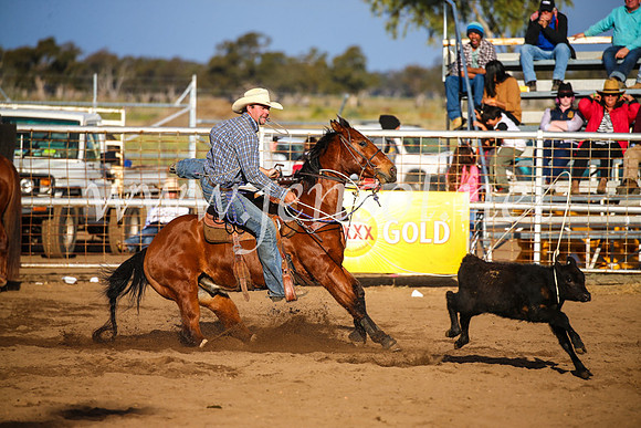 CoonambleRodeoCampdraftSun_4388