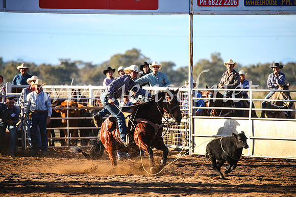 CoonambleRodeoCampdraftSun_1781