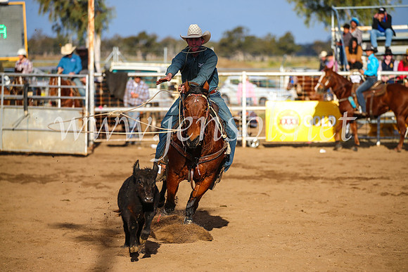 CoonambleRodeoCampdraftSun_4362