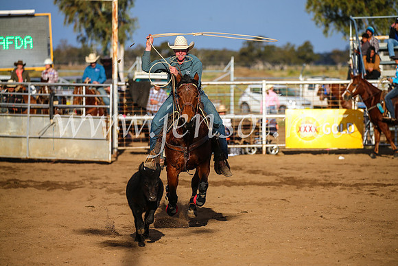 CoonambleRodeoCampdraftSun_4354