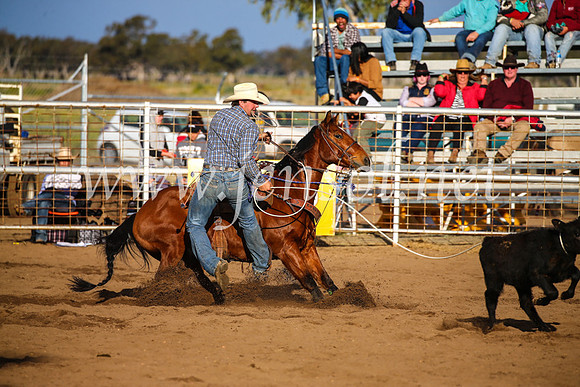 CoonambleRodeoCampdraftSun_4379