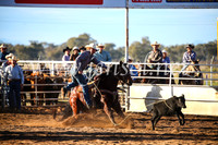CoonambleRodeoCampdraftSun_1779