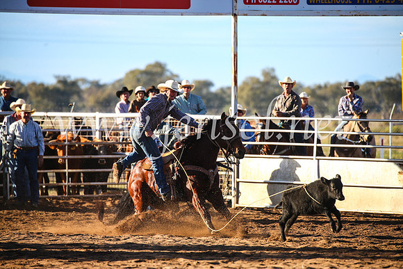 CoonambleRodeoCampdraftSun_1779