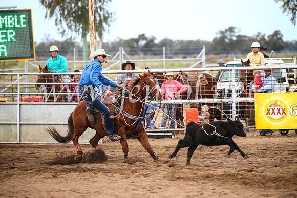 CoonambleRodeoCampdraftSun_3036