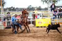 CoonambleRodeoCampdraftSun_3033