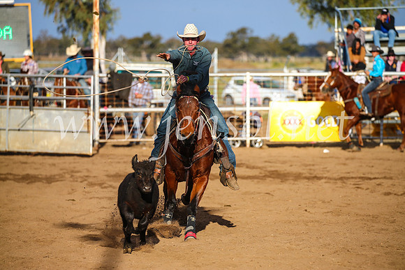 CoonambleRodeoCampdraftSun_4351