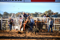 CoonambleRodeoCampdraftSun_1775