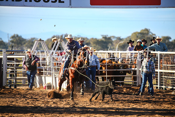 CoonambleRodeoCampdraftSun_1775