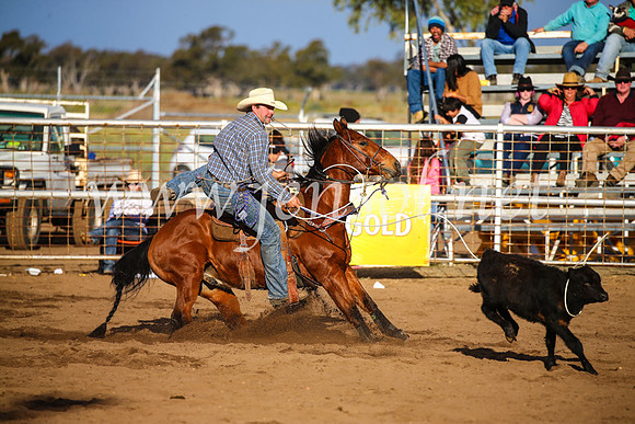 CoonambleRodeoCampdraftSun_4386