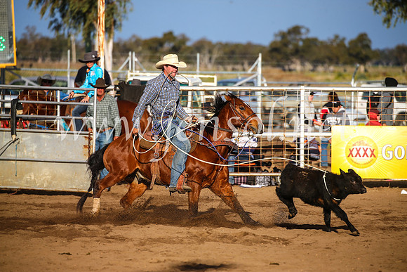 CoonambleRodeoCampdraftSun_4378