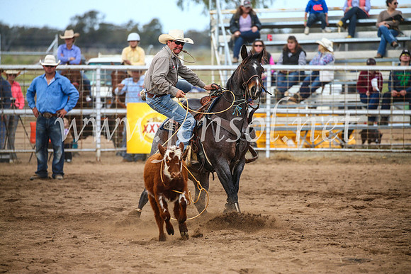 CoonambleRodeoCampdraftSun_3020