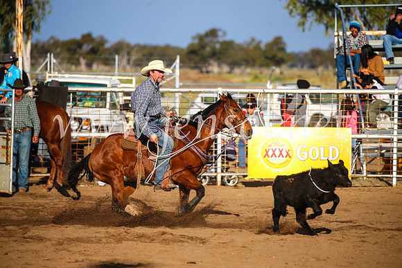 CoonambleRodeoCampdraftSun_4385