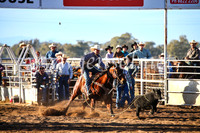 CoonambleRodeoCampdraftSun_1784
