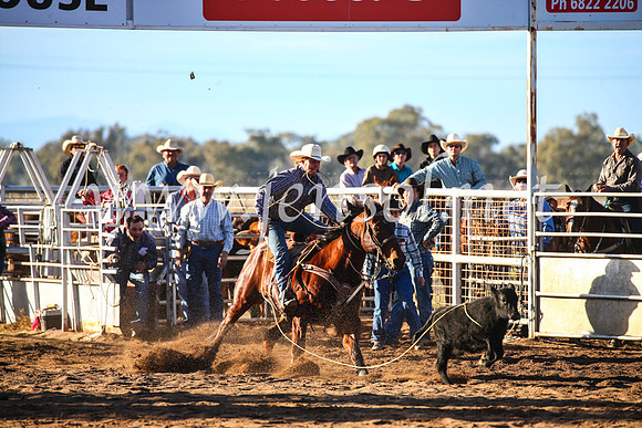 CoonambleRodeoCampdraftSun_1784