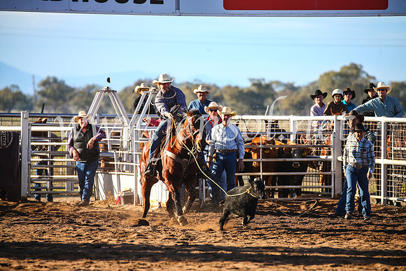 CoonambleRodeoCampdraftSun_1776
