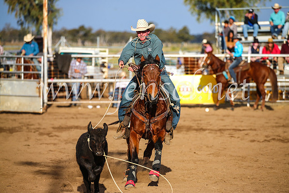 CoonambleRodeoCampdraftSun_4366