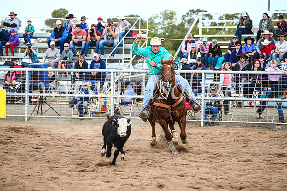 CoonambleRodeoCampdraftSun_3041