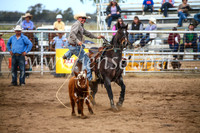 CoonambleRodeoCampdraftSun_3019