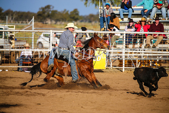 CoonambleRodeoCampdraftSun_4381