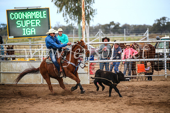 CoonambleRodeoCampdraftSun_3027