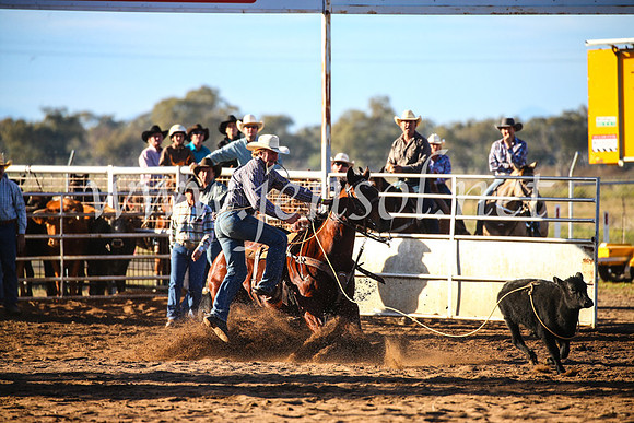 CoonambleRodeoCampdraftSun_1777