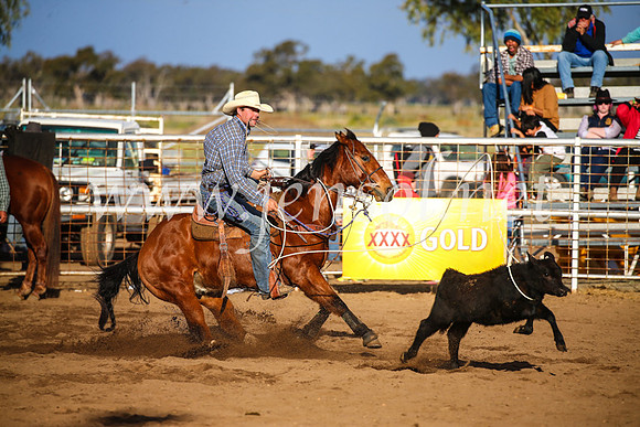 CoonambleRodeoCampdraftSun_4387
