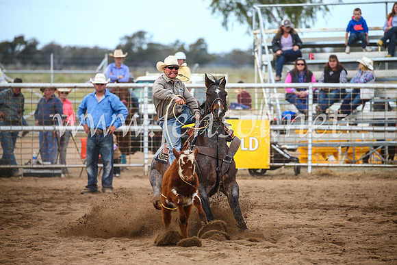 CoonambleRodeoCampdraftSun_3021