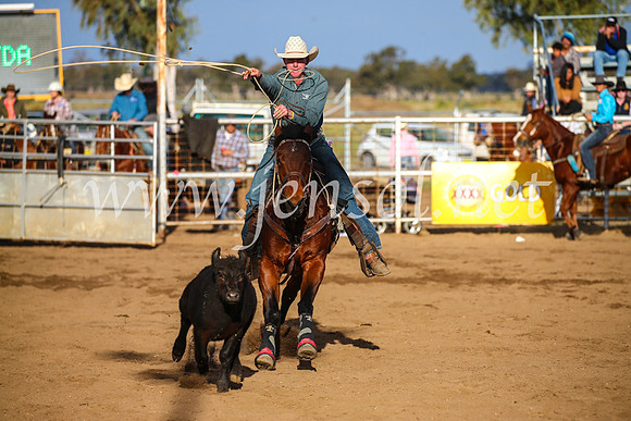 CoonambleRodeoCampdraftSun_4352