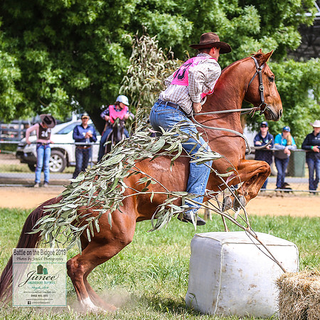BOTB2019_5371