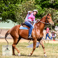 BOB2019_0126