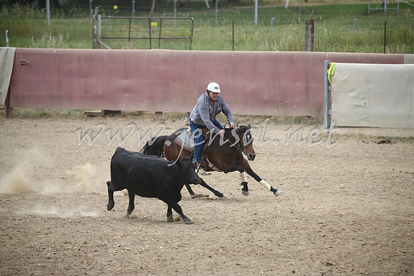 Tumut2_0874