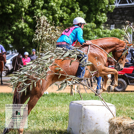BOTB2019_5420