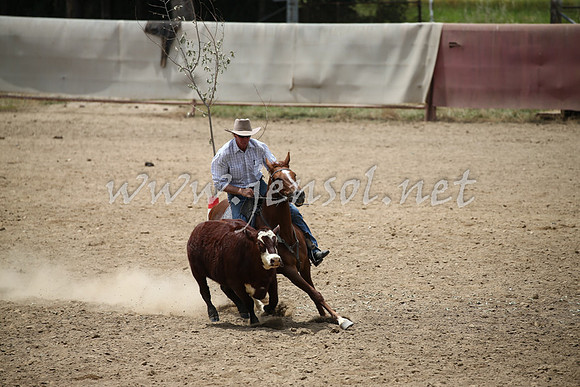 Tumut2_0884