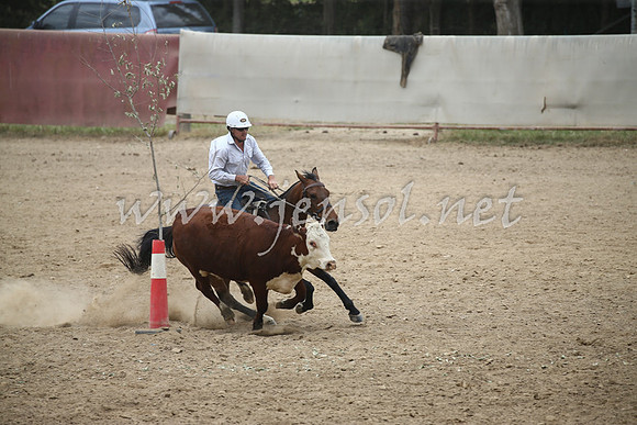 Tumut2_0836