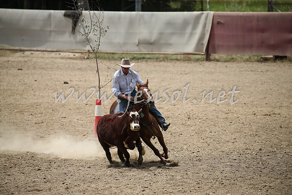 Tumut2_0883