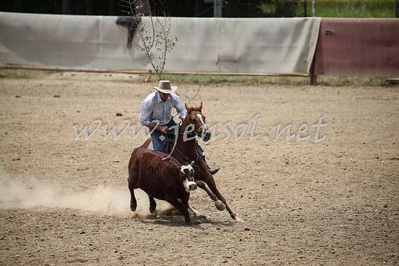 Tumut2_0887