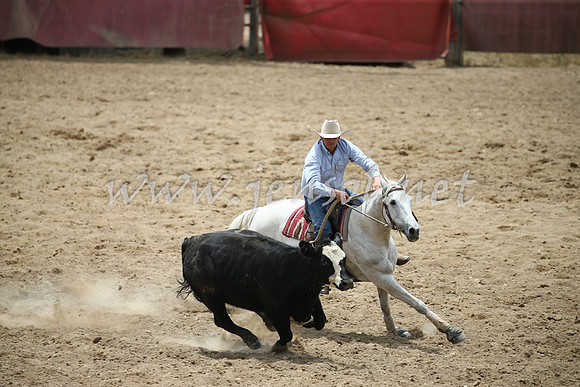 Tumut2_0944