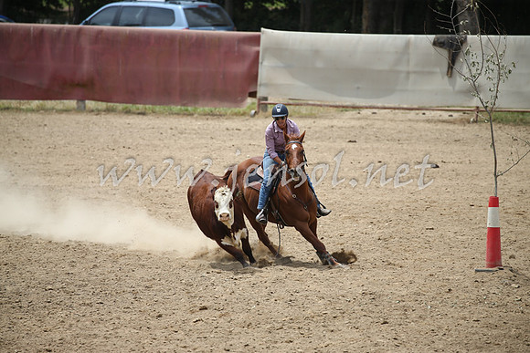Tumut2_0972