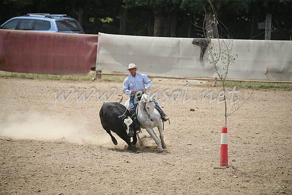 Tumut2_0950