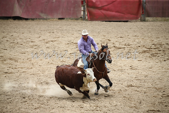 Tumut2_0841
