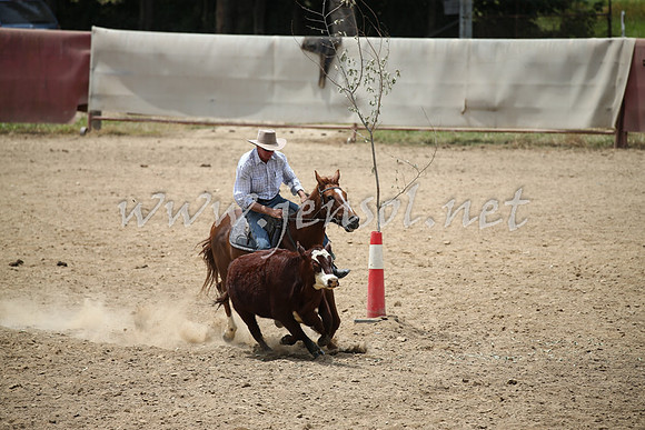 Tumut2_0885