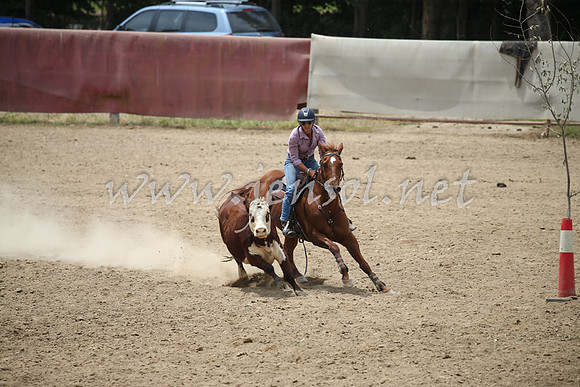 Tumut2_0971