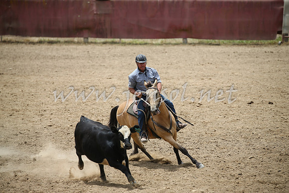 Tumut2_0848