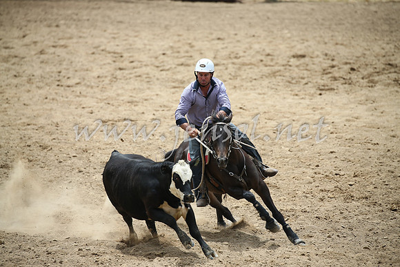 Tumut2_0852