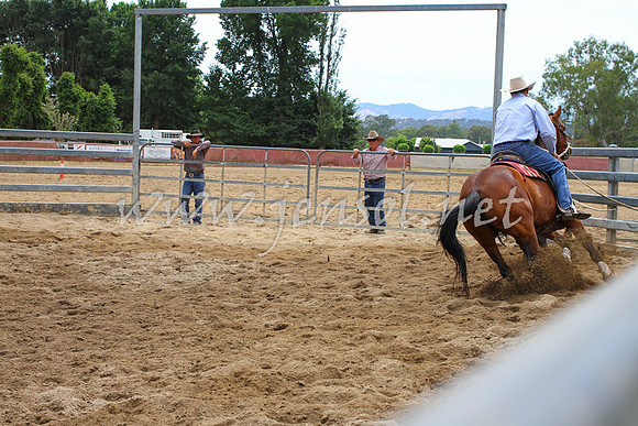 Tumut4_5677