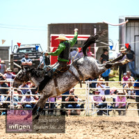 BungendoreRodeo2018-4257