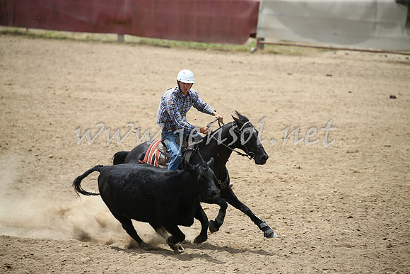 Tumut2_0903